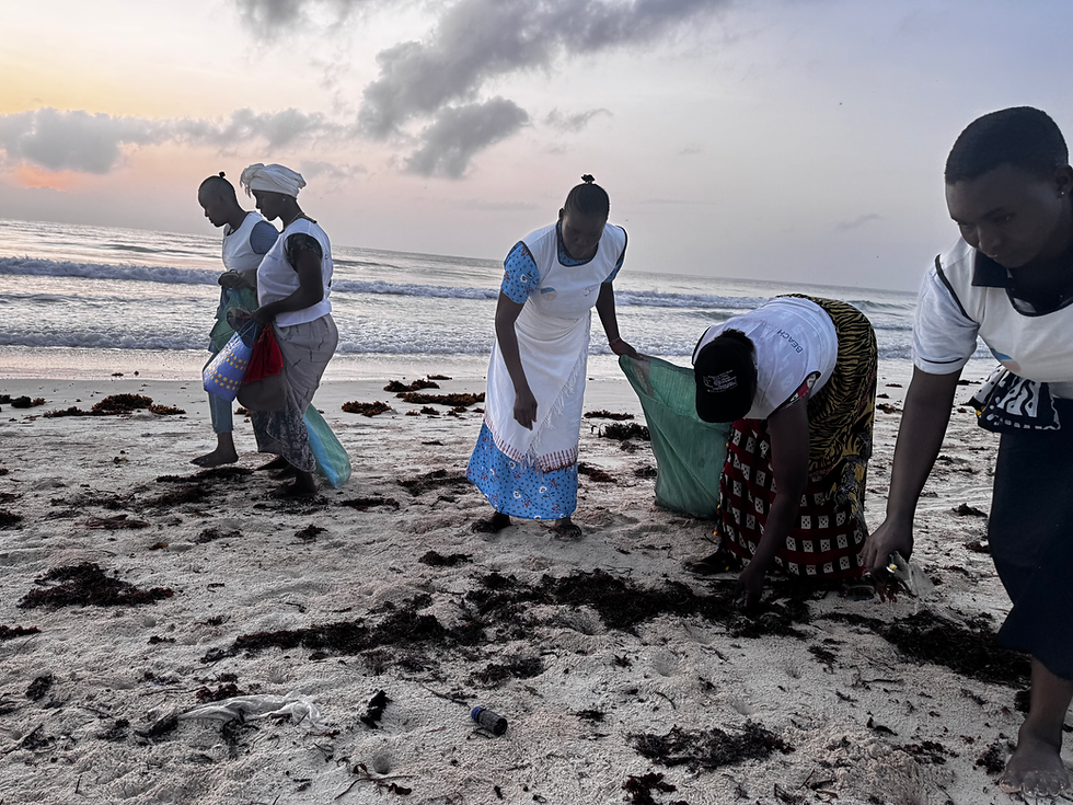 Under a fading sunset, the Ocean Mamaz show what it means to rebuild coastal ecosystems through community, commitment, and a circular blue economy.