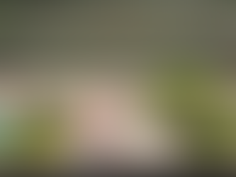 DAESUNISMO. Os COREANOS que buscam a harmonia do TAO.