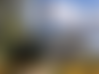 MENONITAS. Apologia à Paz. Fidelidade à Bíblia.