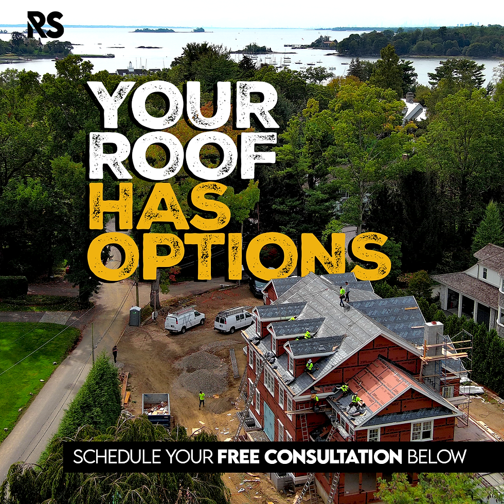 Your Roof Has Options Website Version.png