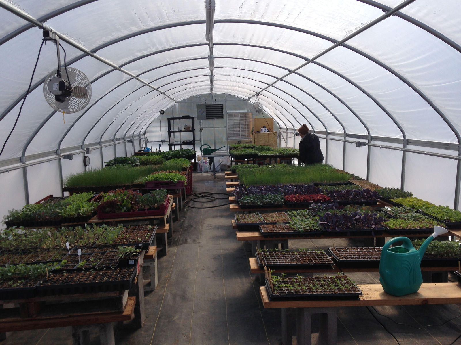 Sandhill Farm photo 9