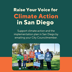 CAP IP Rally Graphics (1).png