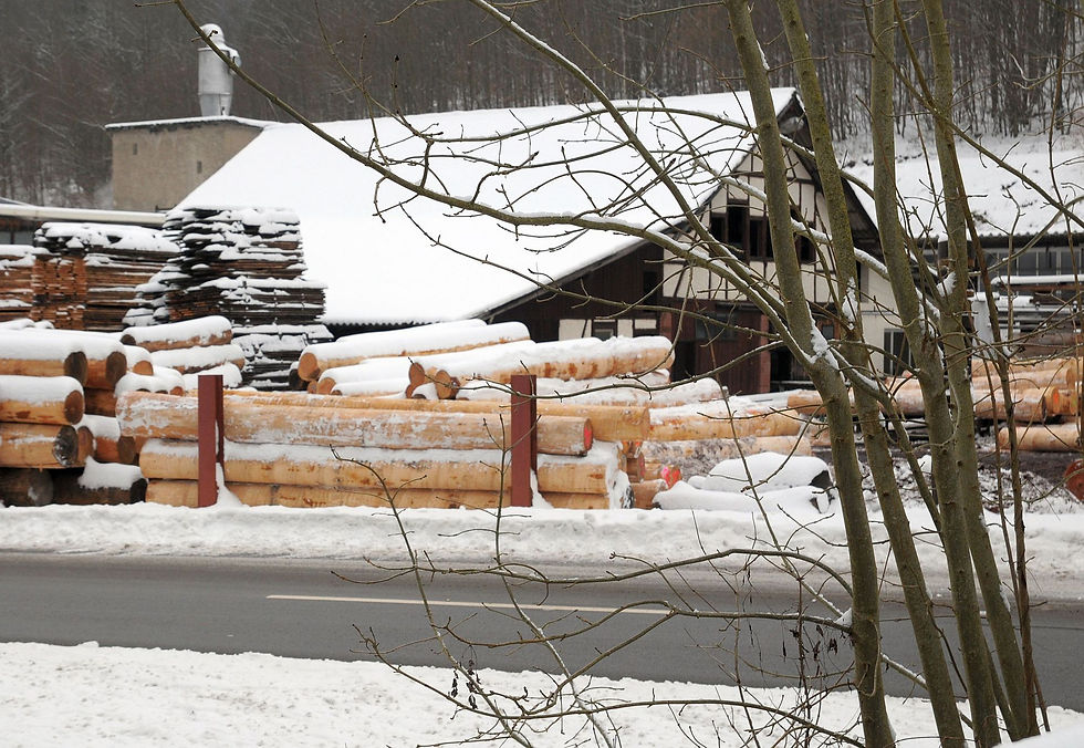 Rundholzlagerung