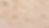 SFONDO_PASTA_Tavola disegno 1 copia.png