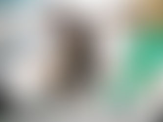 Remembering 15 Years of Learning about Wildlife and Conservation