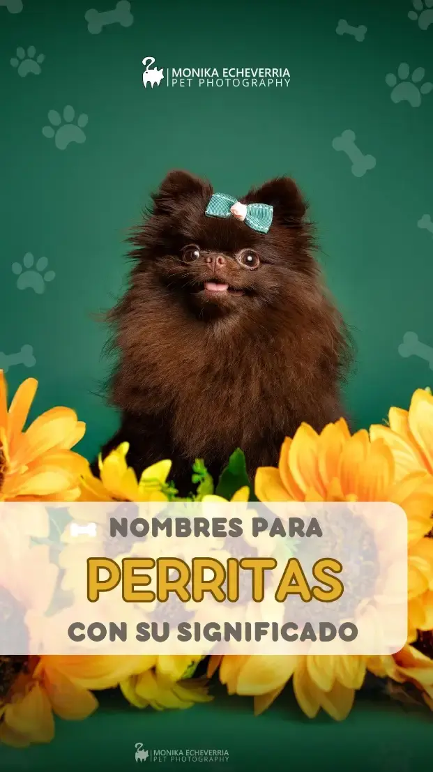Nombres para perritas con su significado