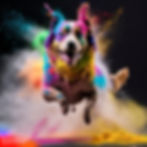 Holi powder and colored powder in photography