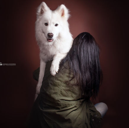 Loss of a pet and grief