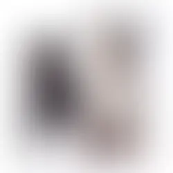 sesión de fotos para bulldogs