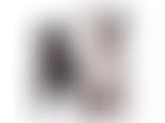 sesión de fotos para bulldogs