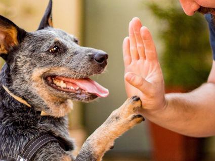 Nombres vascos originales