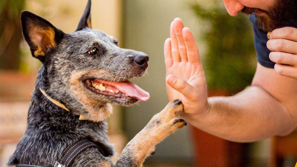 Nombres vascos originales