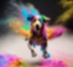 Holi powder
