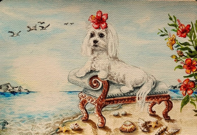 Rêve de star