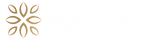 Rascunho (29).png