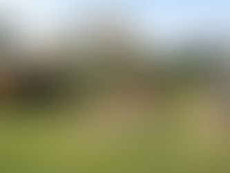 Getting Ready For Spring Cleaning? Start With Your Septic System