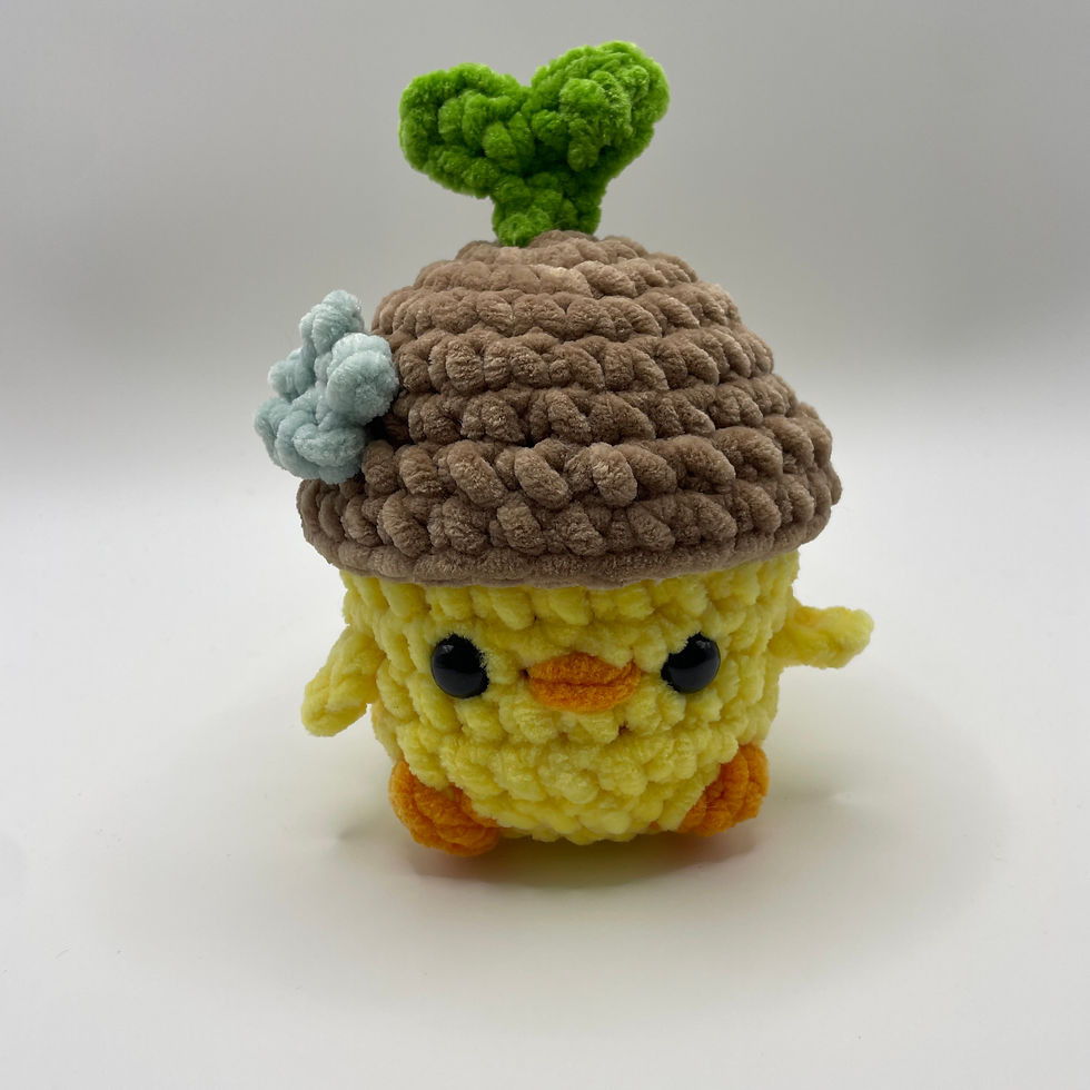 Thumbnail: Small Ducks with Hats