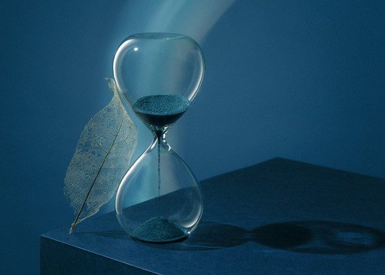 Yuki Sato PhotographerYuki Sato Photographer