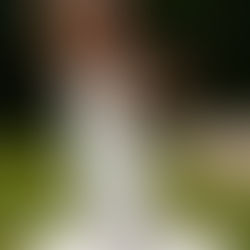 Finding "The One" at Milena’s Bridal: A Bride’s Journey to the Perfect Dress 