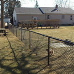 5 feet high black chainlink fence on the right side of a backyard