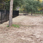 Black wrought iron fence encircling a backyard with no grass and a tall tree