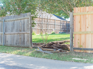 Fence line in a backyard that has a panel fallen to the ground