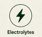 electrolytes.png