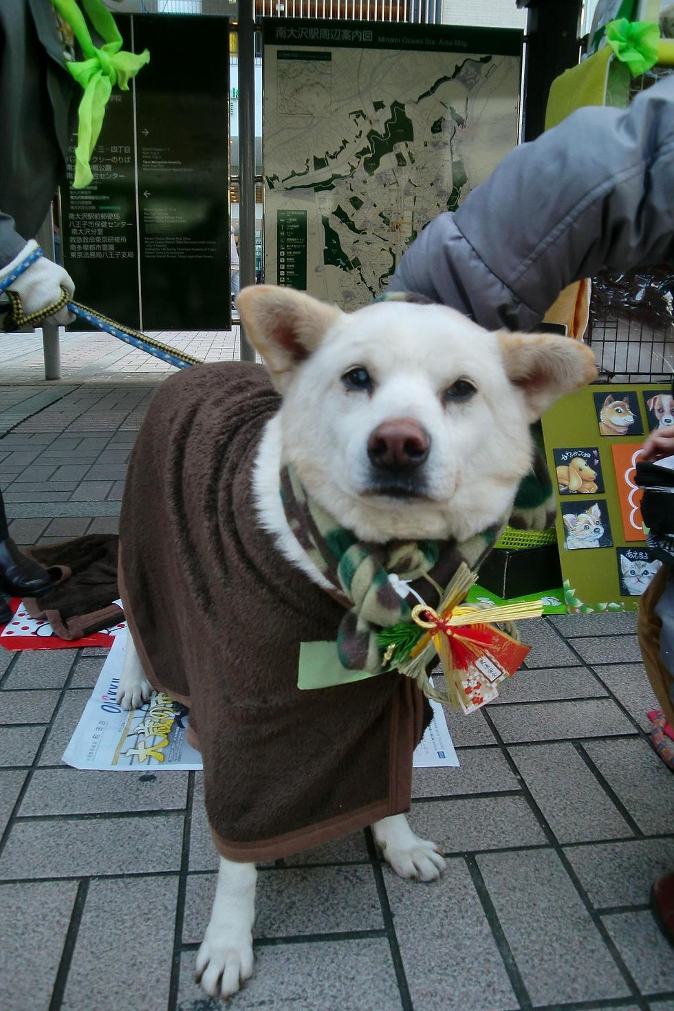 foa-shiro.jpg