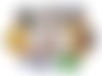 Post #29 (Kedoshim) – Do not place a stumbling block before the blind: Transparency in your career