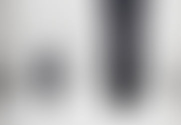 Post #35 (Shelach) - “We looked like grasshoppers to ourselves”: Self-efficacy as key to achievement