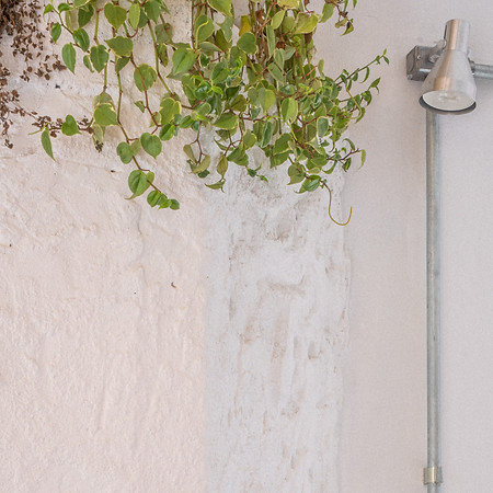 Quintal_Mogi_fotos YBoy (8).jpg