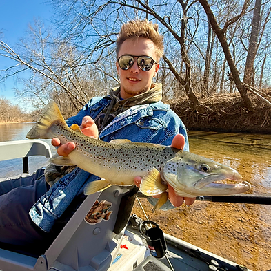 LouFly Brown Trout