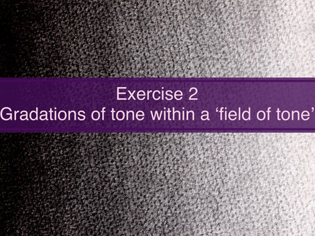 2. Tone - Gradations of tone within a ‘field of tone’
