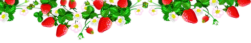 strawberryvine_edited.png