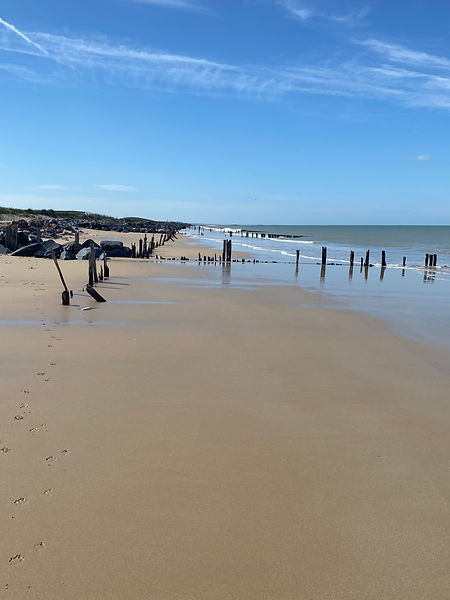 gold beach 2.jpeg