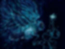 Numa Firefly Ecstasy from Celestial Abysses