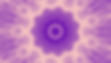 95630556_3648902031793778_8115027044330373120_n_edited.jpg