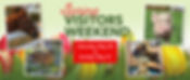 spring2025_visitors_homepage_1791x761.jpg