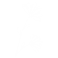 flor-blanca-adorié.png