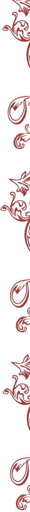 Ornamentos-de-metalina_.png