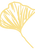 hoja-fairina_edited.png