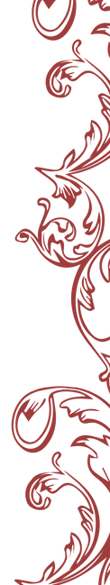 Ornamentos-de-metalina_.png