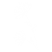 flor-blanca-adorié_edited.png