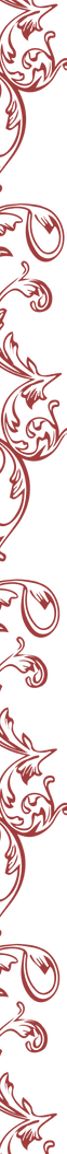 Ornamentos-de-metalina__edited.png
