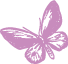 Mariposa de Adorié Papelina