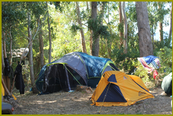 Carpas en Campamento.png