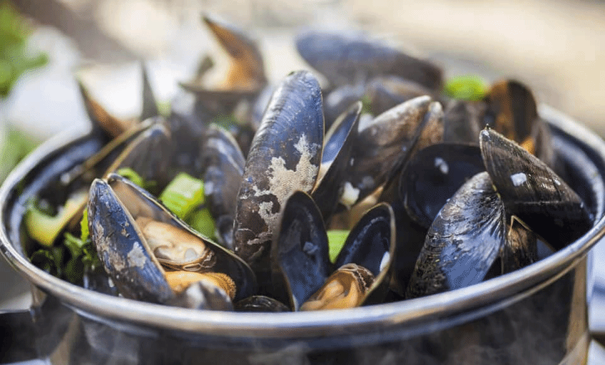 Moules Nouvelles Saison 2020