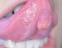4a8ae1_184c63e54c9f40549e09687efcf6fcc7~mv2.webp