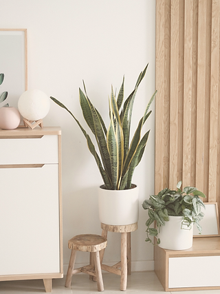 blogs de decoracion