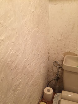 写真 2017-07-31 17 49 00